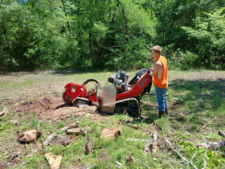 Stump ground flush to the ground, leaving clear yard