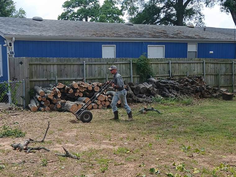 Cut logs stacked and hauled off after a tree removal job